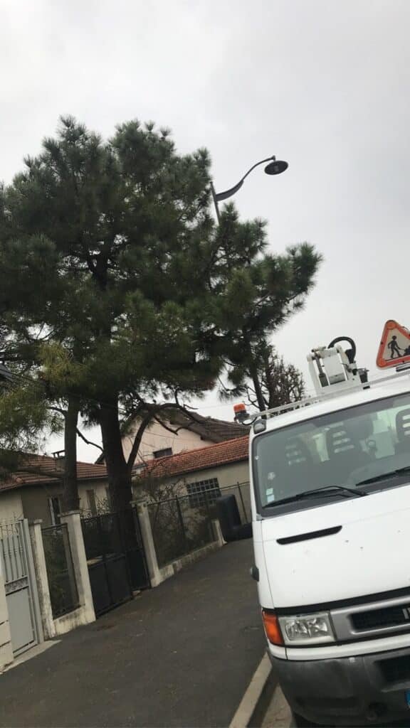 Taillage d'arbre donnant sur la voie publique. Ce type d'intervention doit être effectuée avec du matériel adapté.