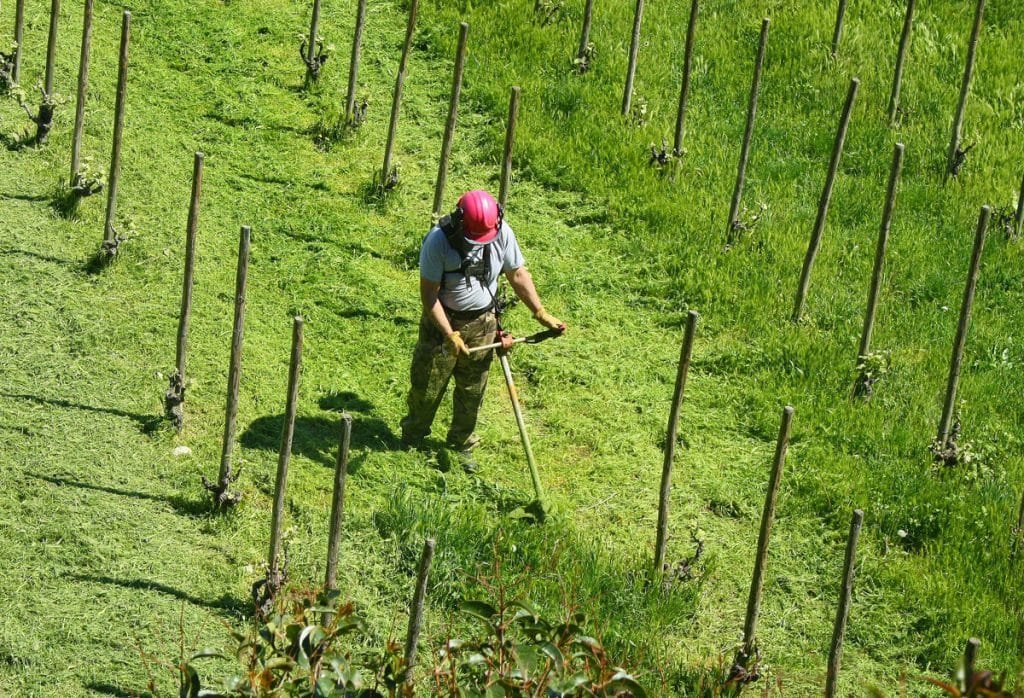 La broussaille a envahi votre jardin ou votre terrain ? Lepecq élagage est spécialisé dans le débroussaillage sur Caen et ses alentours.